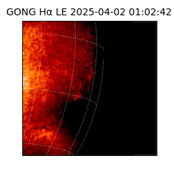 gong - 2025-04-02T01:02:42