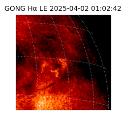 gong - 2025-04-02T01:02:42