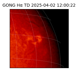 gong - 2025-04-02T12:00:22