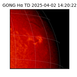 gong - 2025-04-02T14:20:22