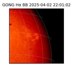 gong - 2025-04-02T22:01:02