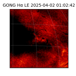 gong - 2025-04-02T01:02:42