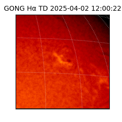 gong - 2025-04-02T12:00:22