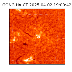 gong - 2025-04-02T19:00:42