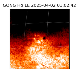 gong - 2025-04-02T01:02:42