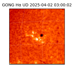 gong - 2025-04-02T03:00:02