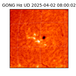 gong - 2025-04-02T08:00:02