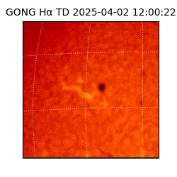 gong - 2025-04-02T12:00:22