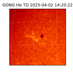 gong - 2025-04-02T14:20:22