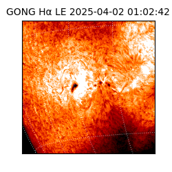 gong - 2025-04-02T01:02:42