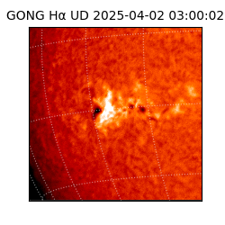 gong - 2025-04-02T03:00:02