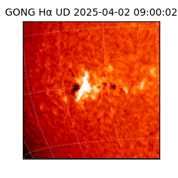 gong - 2025-04-02T09:00:02