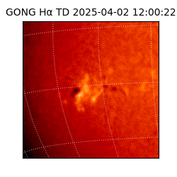 gong - 2025-04-02T12:00:22