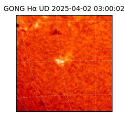 gong - 2025-04-02T03:00:02