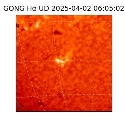 gong - 2025-04-02T06:05:02