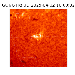 gong - 2025-04-02T10:00:02
