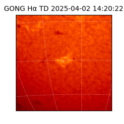 gong - 2025-04-02T14:20:22