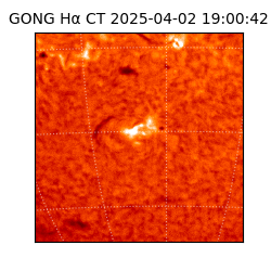 gong - 2025-04-02T19:00:42