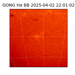 gong - 2025-04-02T22:01:02