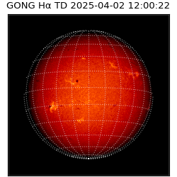 gong - 2025-04-02T12:00:22