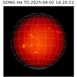 gong - 2025-04-02T14:20:22