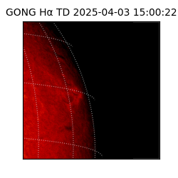 gong - 2025-04-03T15:00:22