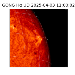 gong - 2025-04-03T11:00:02