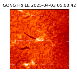 gong - 2025-04-03T05:00:42