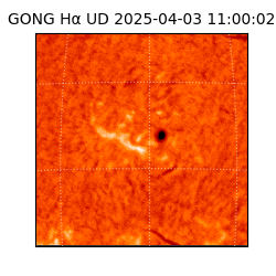 gong - 2025-04-03T11:00:02