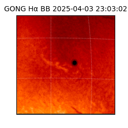 gong - 2025-04-03T23:03:02