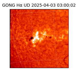 gong - 2025-04-03T03:00:02