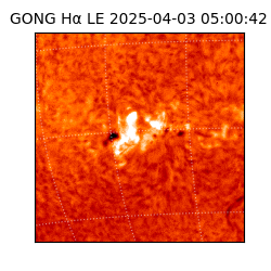 gong - 2025-04-03T05:00:42