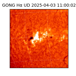 gong - 2025-04-03T11:00:02