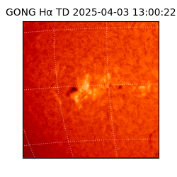 gong - 2025-04-03T13:00:22