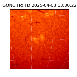 gong - 2025-04-03T13:00:22