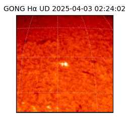 gong - 2025-04-03T02:24:02