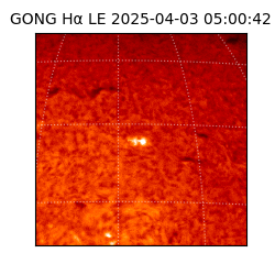 gong - 2025-04-03T05:00:42