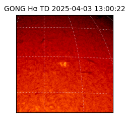 gong - 2025-04-03T13:00:22