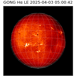 gong - 2025-04-03T05:00:42