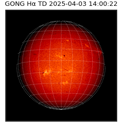 gong - 2025-04-03T14:00:22