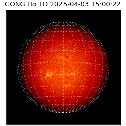 gong - 2025-04-03T15:00:22