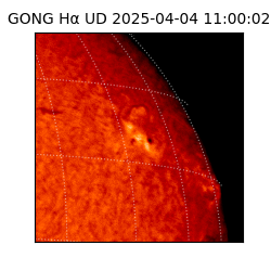 gong - 2025-04-04T11:00:02