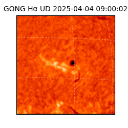 gong - 2025-04-04T09:00:02