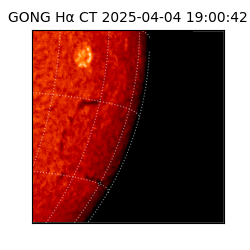 gong - 2025-04-04T19:00:42