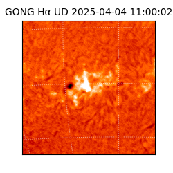 gong - 2025-04-04T11:00:02