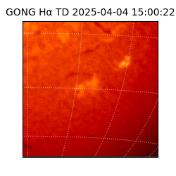 gong - 2025-04-04T15:00:22