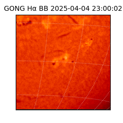 gong - 2025-04-04T23:00:02