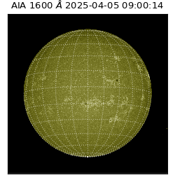 saia - 2025-04-05T09:00:14.129000
