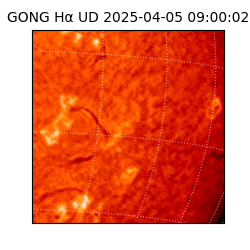 gong - 2025-04-05T09:00:02