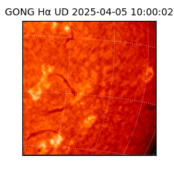 gong - 2025-04-05T10:00:02